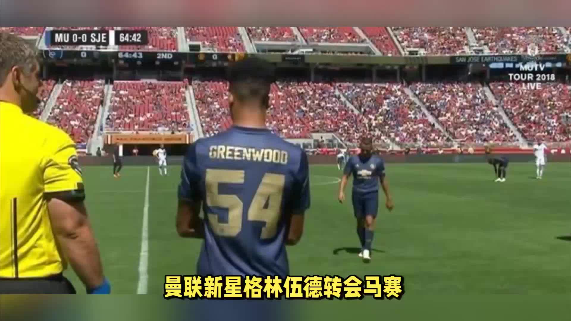 也是篮球迷