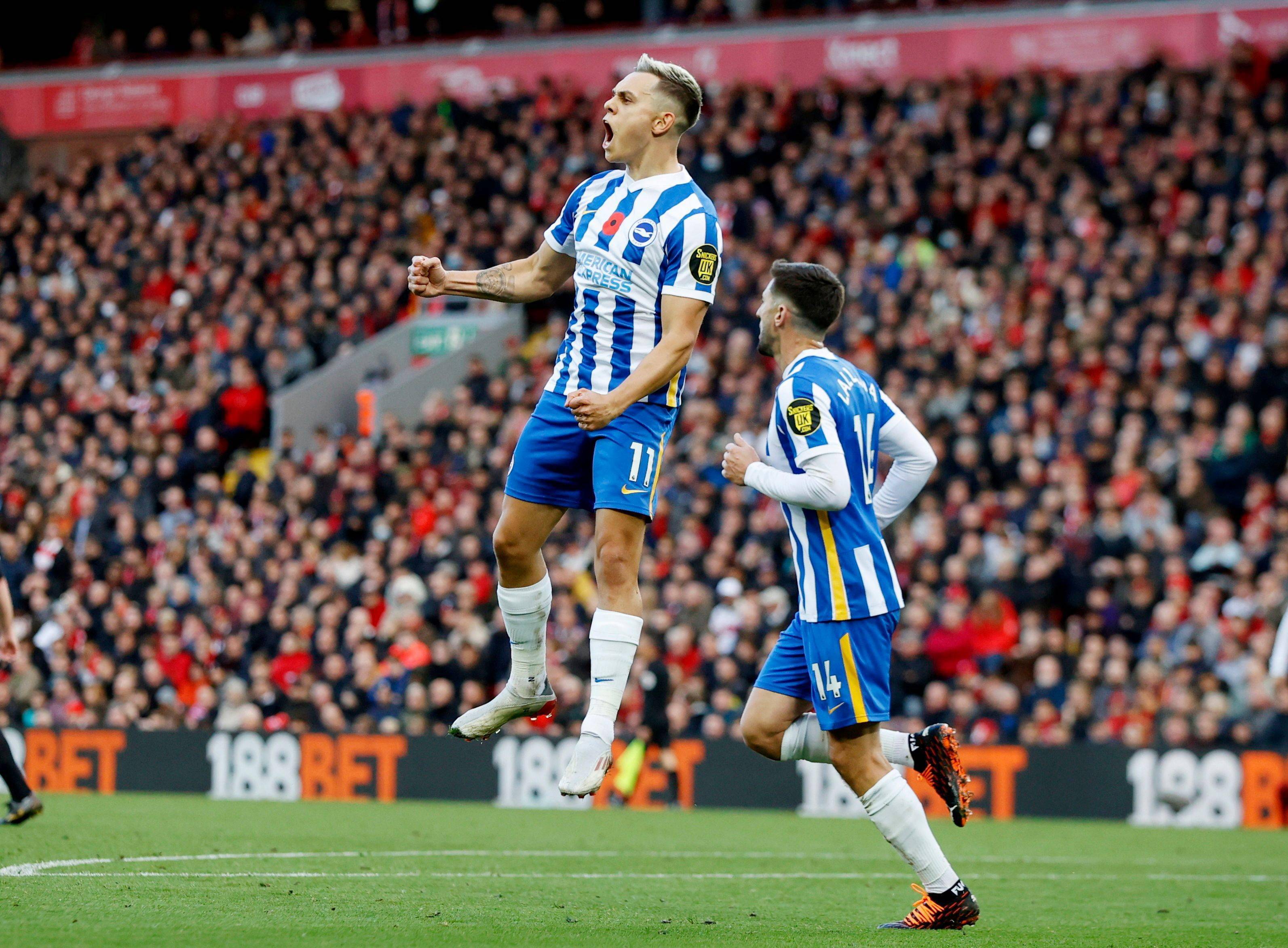 直接终结的 直接终结的